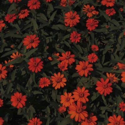 利澳平台注册开户